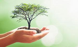 good-for-the-environment